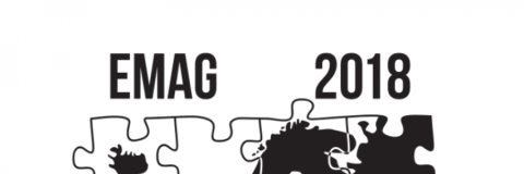EMAG 2018