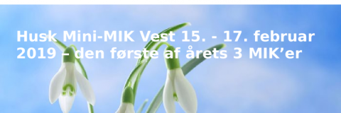 Mini-MIK Vest 2019