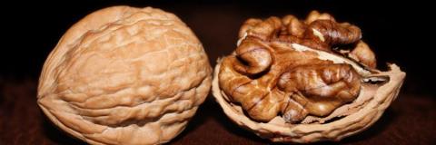 Kom og mød os til Intelligence Day, lørdag den 1. oktober kl 11-14.